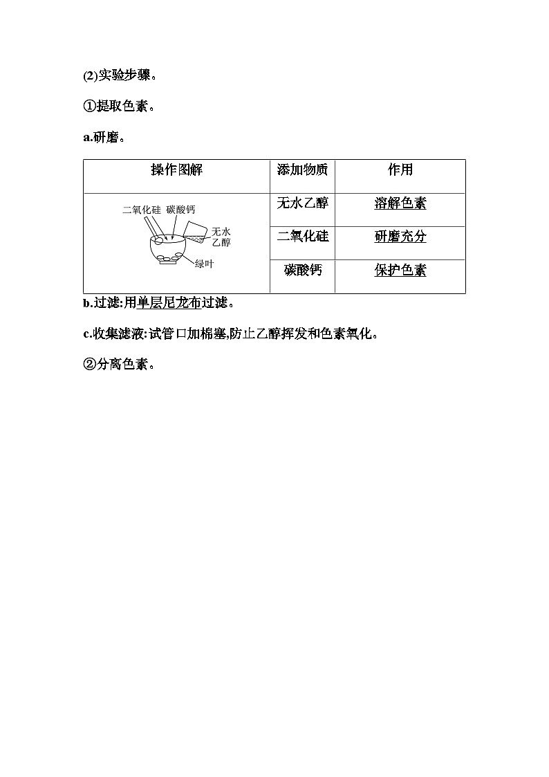 2024届人教版高中生物一轮复习光合作用的色素与基本过程学案（不定项）第2页