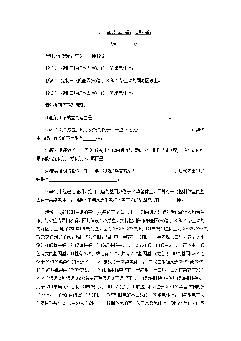 2024届人教版高中生物一轮复习实验技能实验假设与结论学案（不定项）02