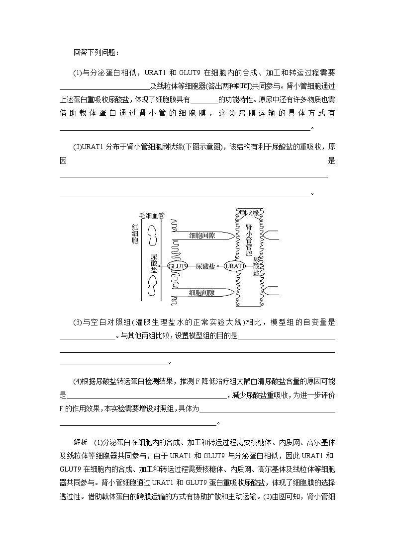 2024届人教版高中生物一轮复习实验技能实验设计原则和方法学案（不定项）03