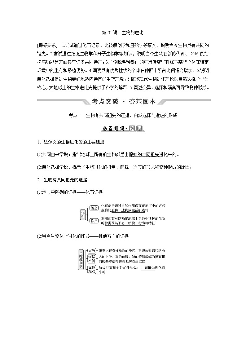 2024届人教版高中生物一轮复习生物的进化学案（不定项）第1页