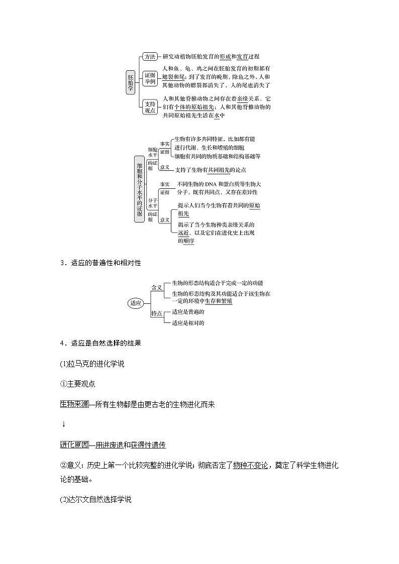 2024届人教版高中生物一轮复习生物的进化学案（不定项）第2页