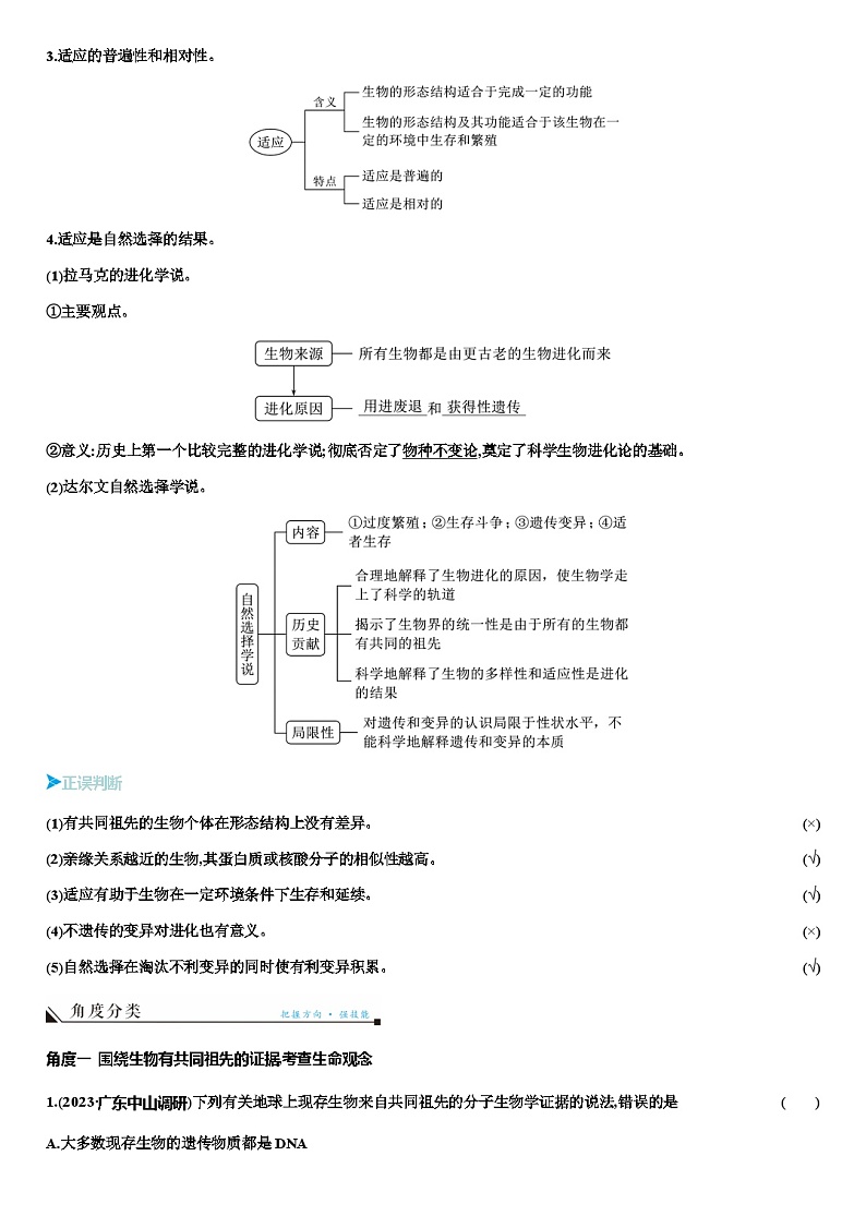 2024届人教版高中生物一轮复习生物的进化学案（不定项） (2)第2页