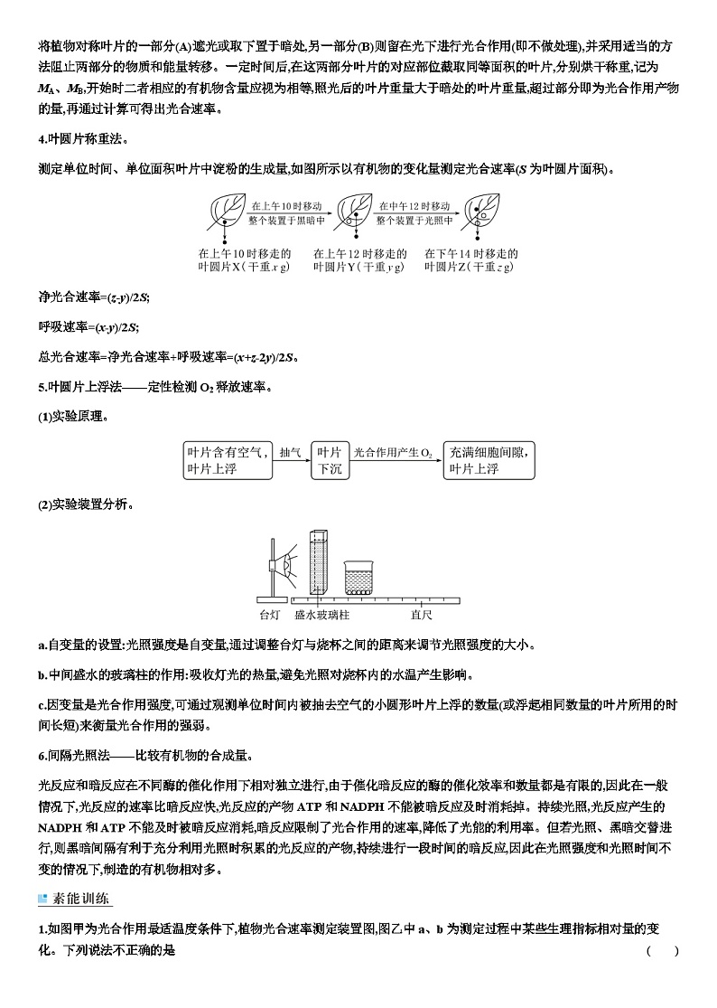 2024届人教版高中生物一轮复习光合作用与能量转化学案（不定项）02