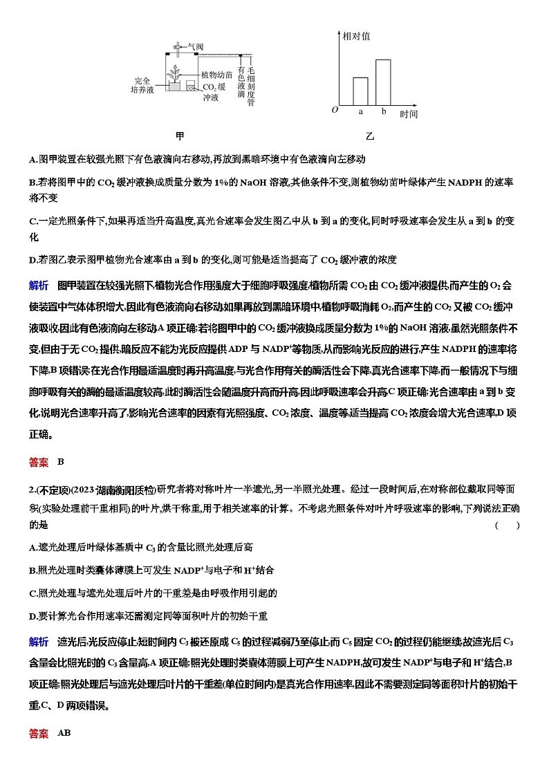 2024届人教版高中生物一轮复习光合作用与能量转化学案（不定项）03