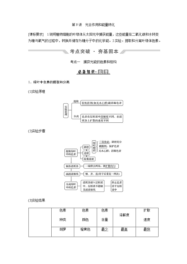 2024届人教版高中生物一轮复习光合作用和能量转化学案（不定项）第1页
