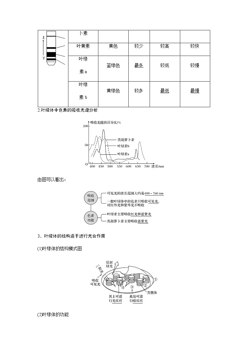 2024届人教版高中生物一轮复习光合作用和能量转化学案（不定项）第2页