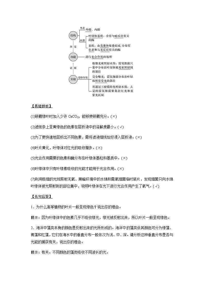 2024届人教版高中生物一轮复习光合作用和能量转化学案（不定项）第3页