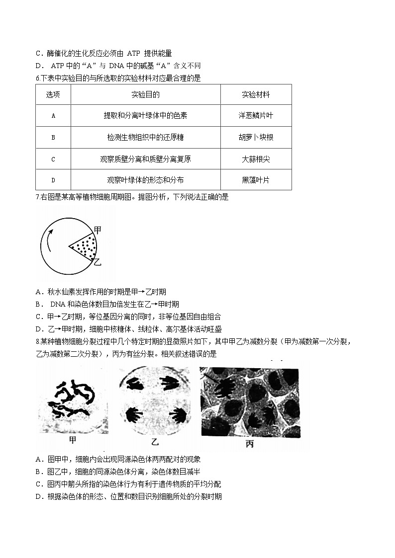 北京市大兴区2022-2023学年高一下学期期末生物试题(无答案)02