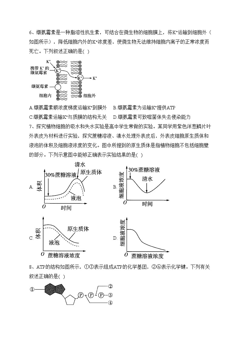 安徽省合肥市六校2022-2023学年高一下学期期末联考生物试卷（含答案）第2页