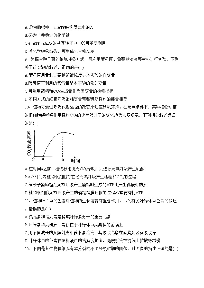 安徽省合肥市六校2022-2023学年高一下学期期末联考生物试卷（含答案）第3页