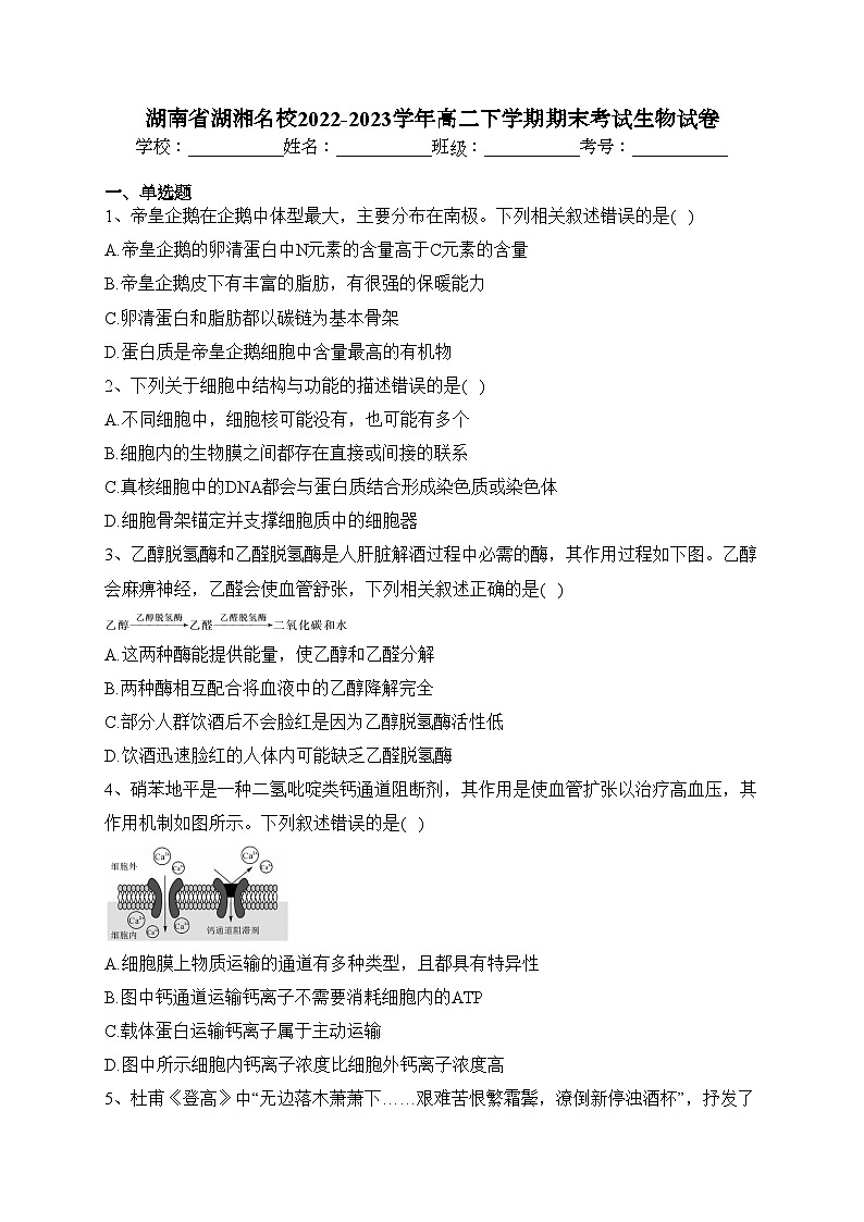 湖南省湖湘名校2022-2023学年高二下学期期末考试生物试卷（含答案）第1页