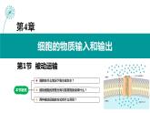 4.1 被动运输（第一课时）教学课件-2023-2024学年高一生物同步备课系列（人教版2019必修1）（人教版2019）