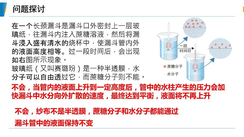 4.1 被动运输（第一课时）教学课件-2023-2024学年高一生物同步备课系列（人教版2019必修1）（人教版2019）第4页