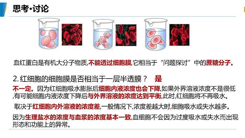 4.1 被动运输（第一课时）教学课件-2023-2024学年高一生物同步备课系列（人教版2019必修1）（人教版2019）第7页