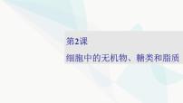 2024届人教版高考生物一轮复习细胞中的无机物、糖类和脂质课件（多项）