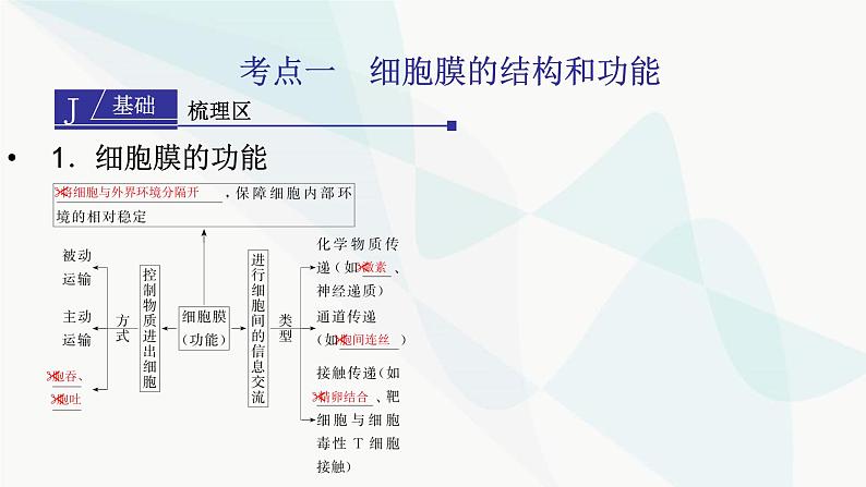 2024届人教版高考生物一轮复习细胞膜与细胞核课件（多项）第4页