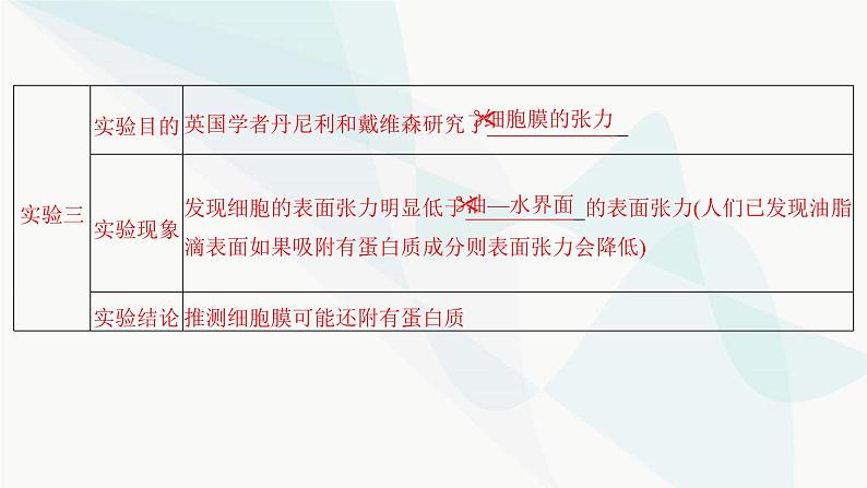 2024届人教版高考生物一轮复习细胞膜与细胞核课件（多项）第7页