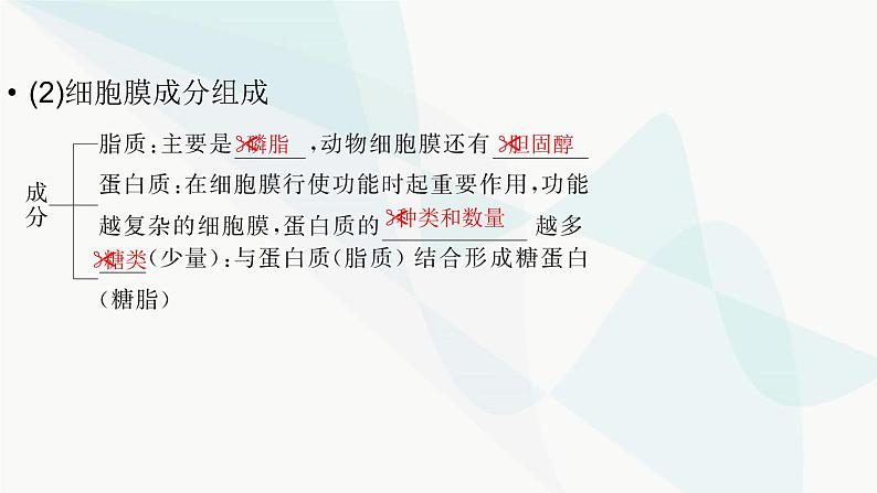 2024届人教版高考生物一轮复习细胞膜与细胞核课件（多项）第8页