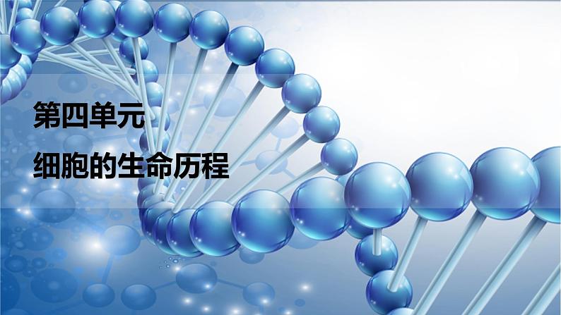 2024届人教版高考生物一轮复习细胞的增殖课件（多项）第1页