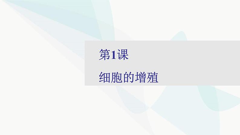 2024届人教版高考生物一轮复习细胞的增殖课件（多项）第2页