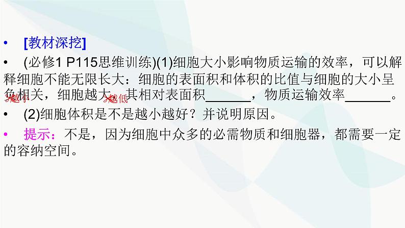 2024届人教版高考生物一轮复习细胞的增殖课件（多项）第5页