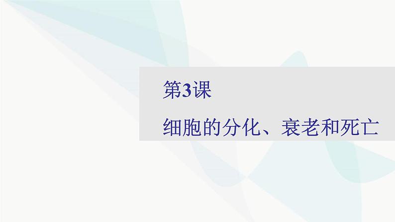 2024届人教版高考生物一轮复习细胞的分化、衰老和死亡课件（多项）第1页