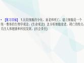 2024届人教版高考生物一轮复习细胞的分化、衰老和死亡课件（多项）