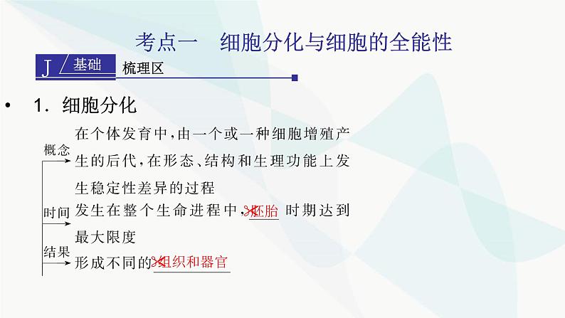 2024届人教版高考生物一轮复习细胞的分化、衰老和死亡课件（多项）第3页