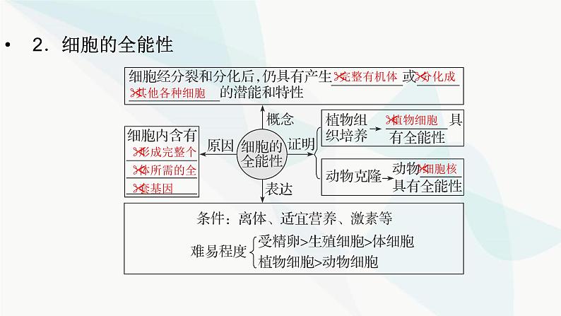 2024届人教版高考生物一轮复习细胞的分化、衰老和死亡课件（多项）第6页