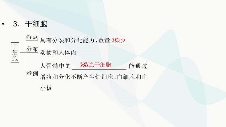 2024届人教版高考生物一轮复习细胞的分化、衰老和死亡课件（多项）第8页