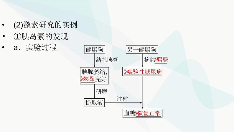 2024届人教版高考生物一轮复习体液调节课件（多项）06