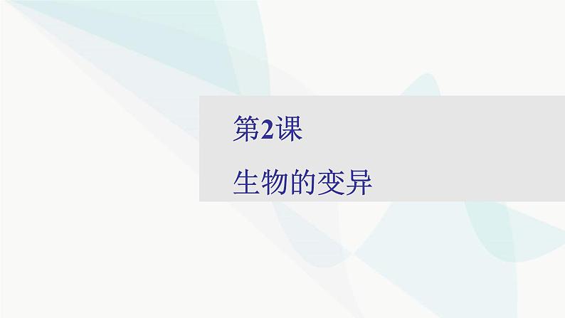 2024届人教版高考生物一轮复习生物的变异课件（多项）01