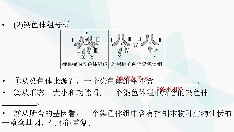 2024届人教版高考生物一轮复习生物的变异课件（多项）04