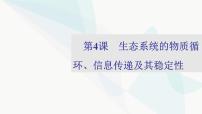 2024届人教版高考生物一轮复习生态系统的物质循环、信息传递及其稳定性课件（多项）