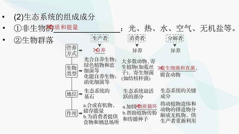 2024届人教版高考生物一轮复习生态系统的结构与能量流动课件（多项）04