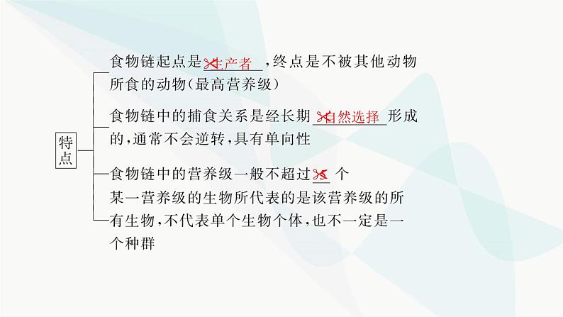 2024届人教版高考生物一轮复习生态系统的结构与能量流动课件（多项）07