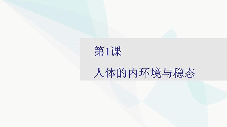 2024届人教版高考生物一轮复习人体的内环境与稳态课件（多项）第2页