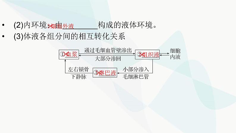 2024届人教版高考生物一轮复习人体的内环境与稳态课件（多项）第5页