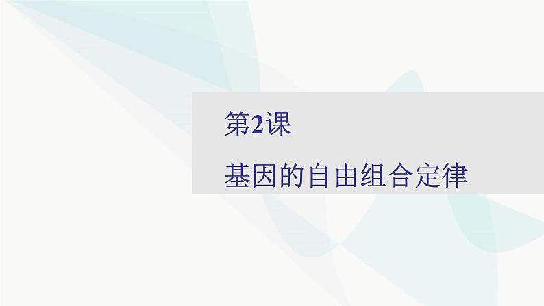 2024届人教版高考生物一轮复习基因的自由组合定律课件（多项）第1页