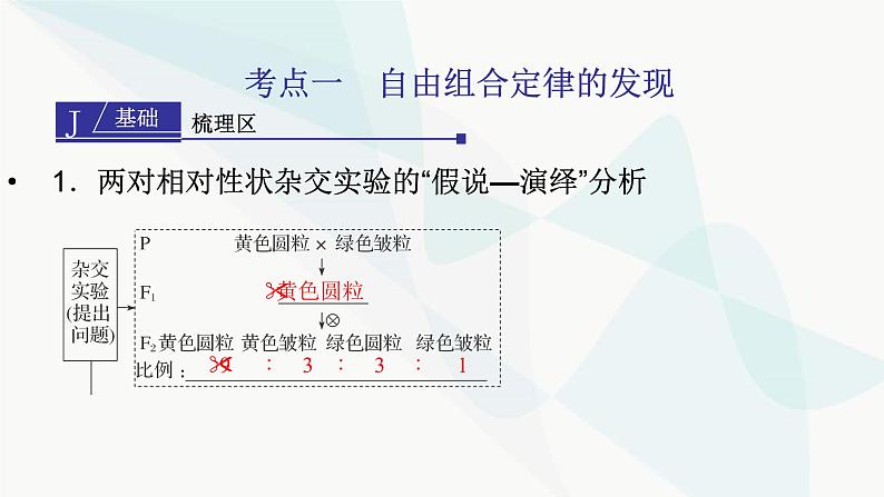 2024届人教版高考生物一轮复习基因的自由组合定律课件（多项）第3页