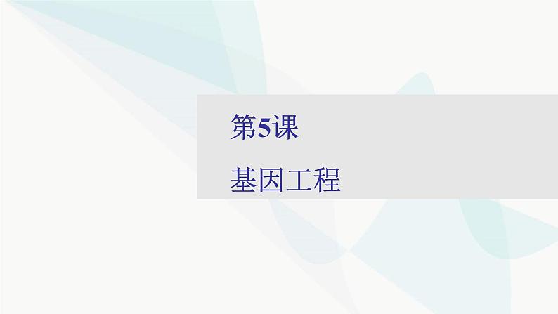 2024届人教版高考生物一轮复习基因工程课件（多项）第1页