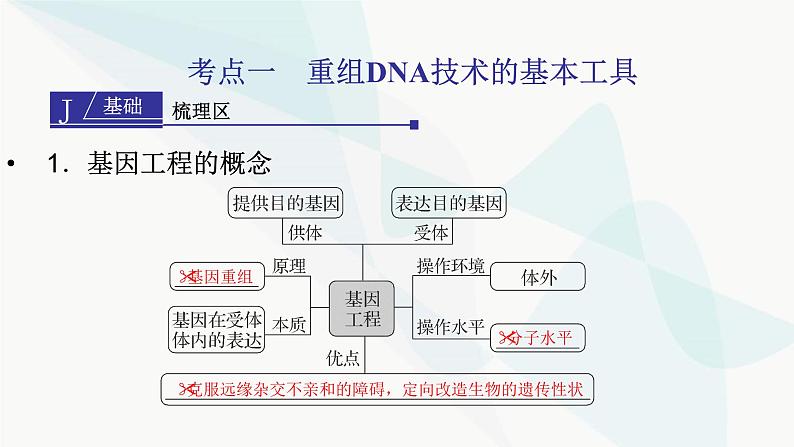 2024届人教版高考生物一轮复习基因工程课件（多项）第3页