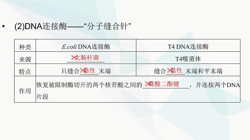 2024届人教版高考生物一轮复习基因工程课件（多项）第6页