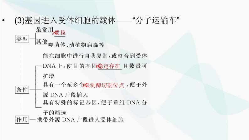 2024届人教版高考生物一轮复习基因工程课件（多项）第7页