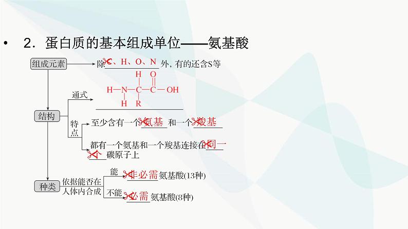 2024届人教版高考生物一轮复习蛋白质和核酸课件（多项）第4页