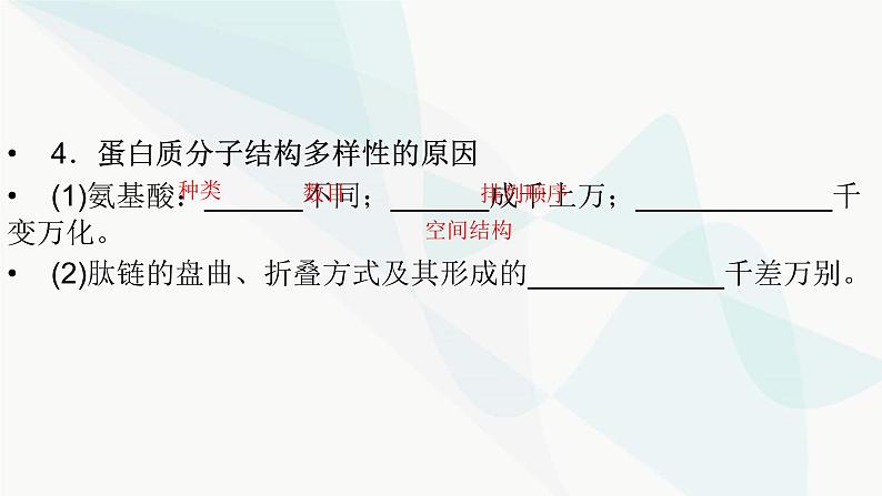 2024届人教版高考生物一轮复习蛋白质和核酸课件（多项）第6页