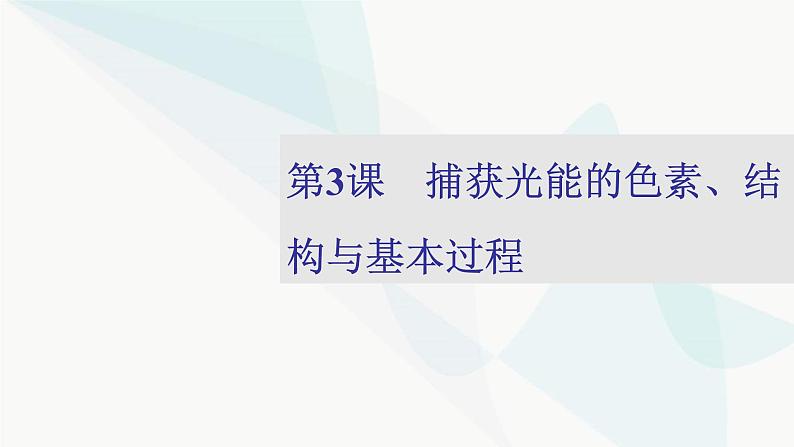 2024届人教版高考生物一轮复习捕获光能的色素、结构与基本过程课件（多项）第1页