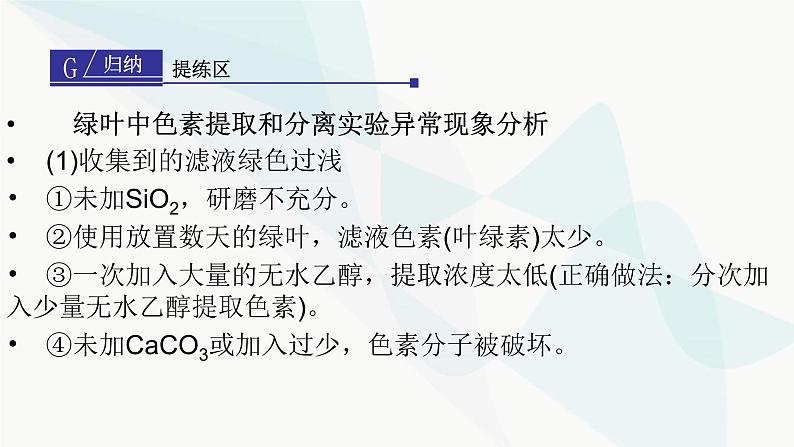 2024届人教版高考生物一轮复习捕获光能的色素、结构与基本过程课件（多项）第7页