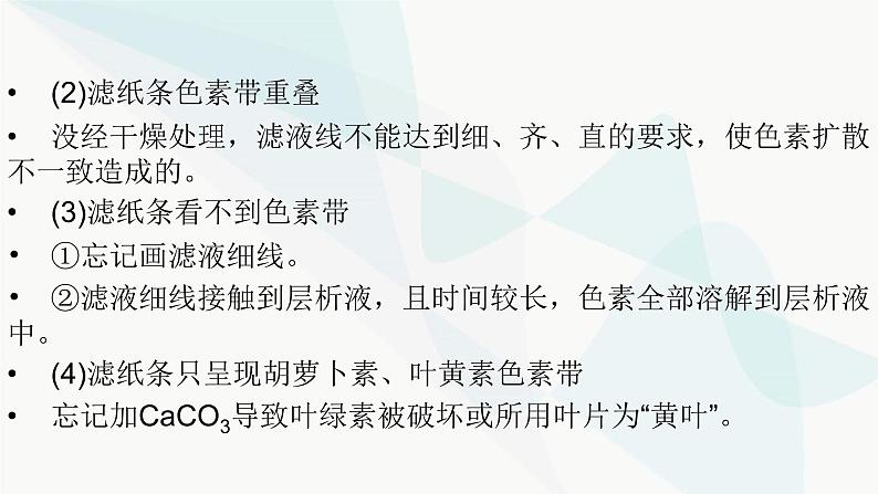 2024届人教版高考生物一轮复习捕获光能的色素、结构与基本过程课件（多项）第8页