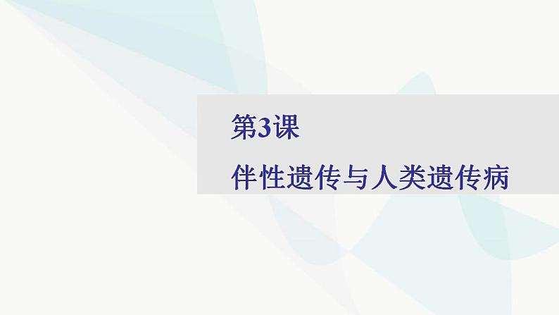 2024届人教版高考生物一轮复习伴性遗传与人类遗传病课件（多项）第1页